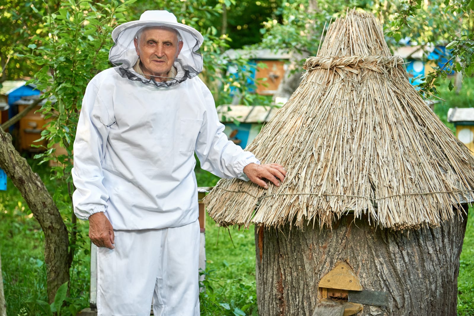 Pólen Apícola Desidratado — Pote 500 g — produto da linha Néctar das Flores